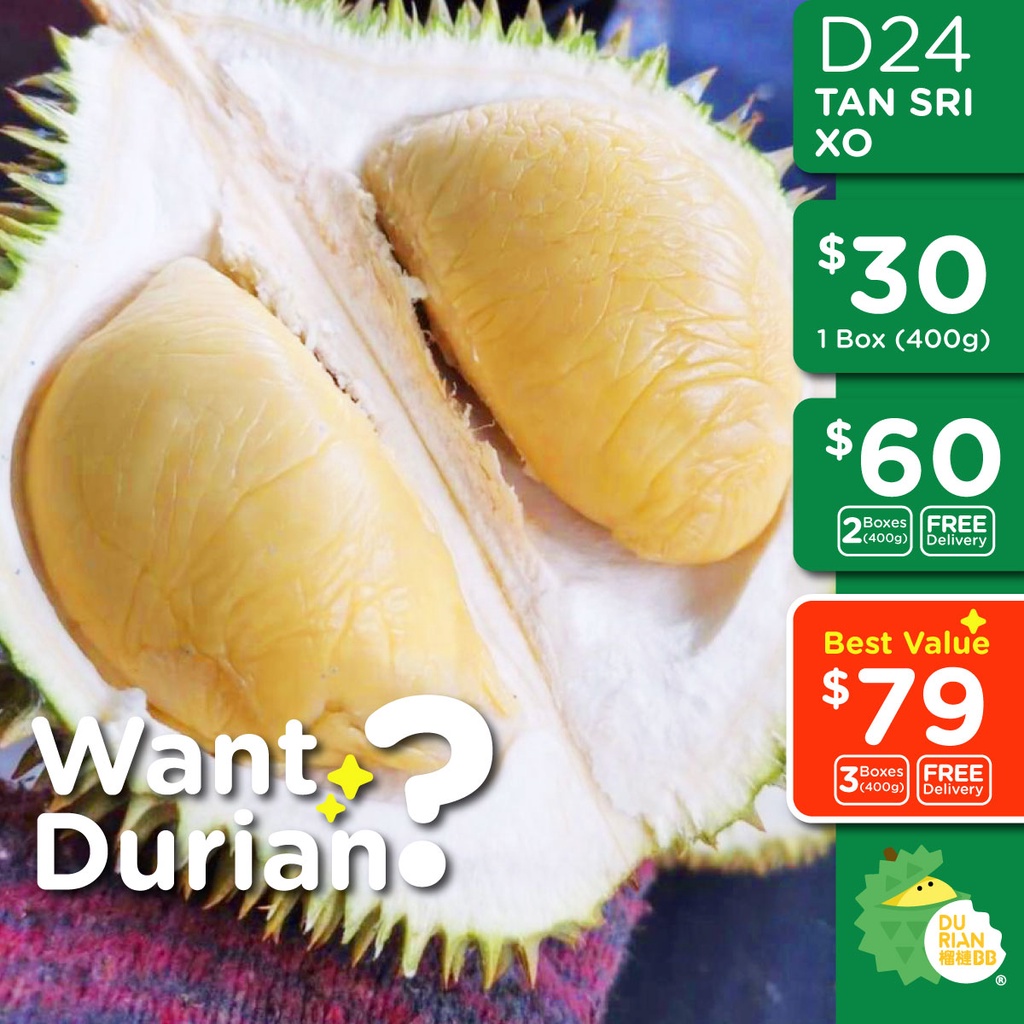 DurianBB D24 XO / Tan Sri XO Durian (400g) Shopee Singapore