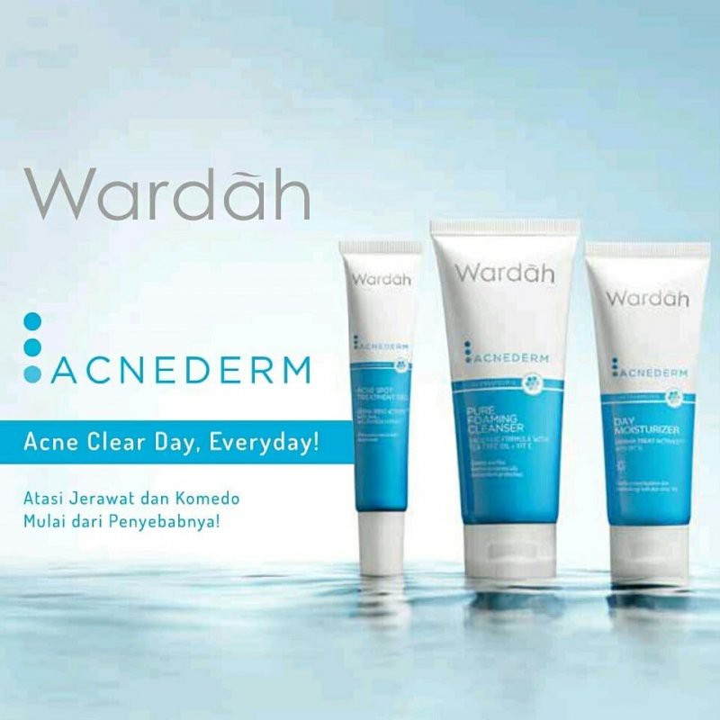 Wardah Acnederm Day / Night Treatment Moisturizer 40ml  