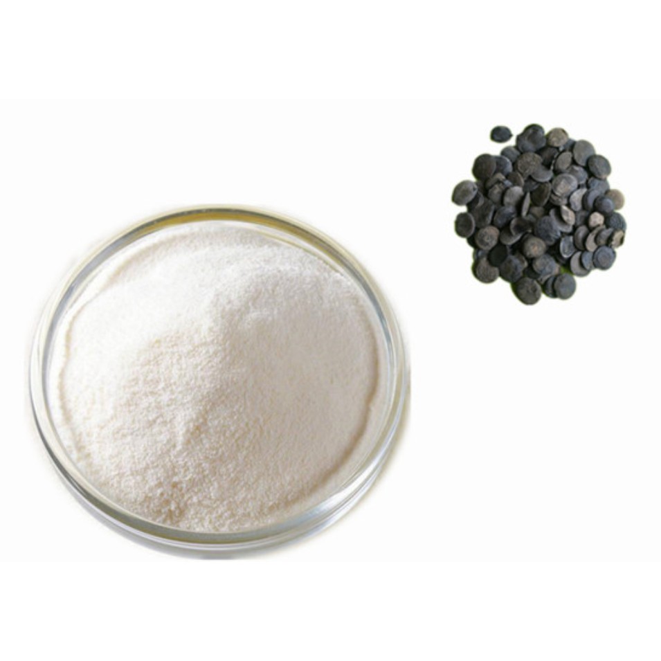 Griffonia Seed Powder