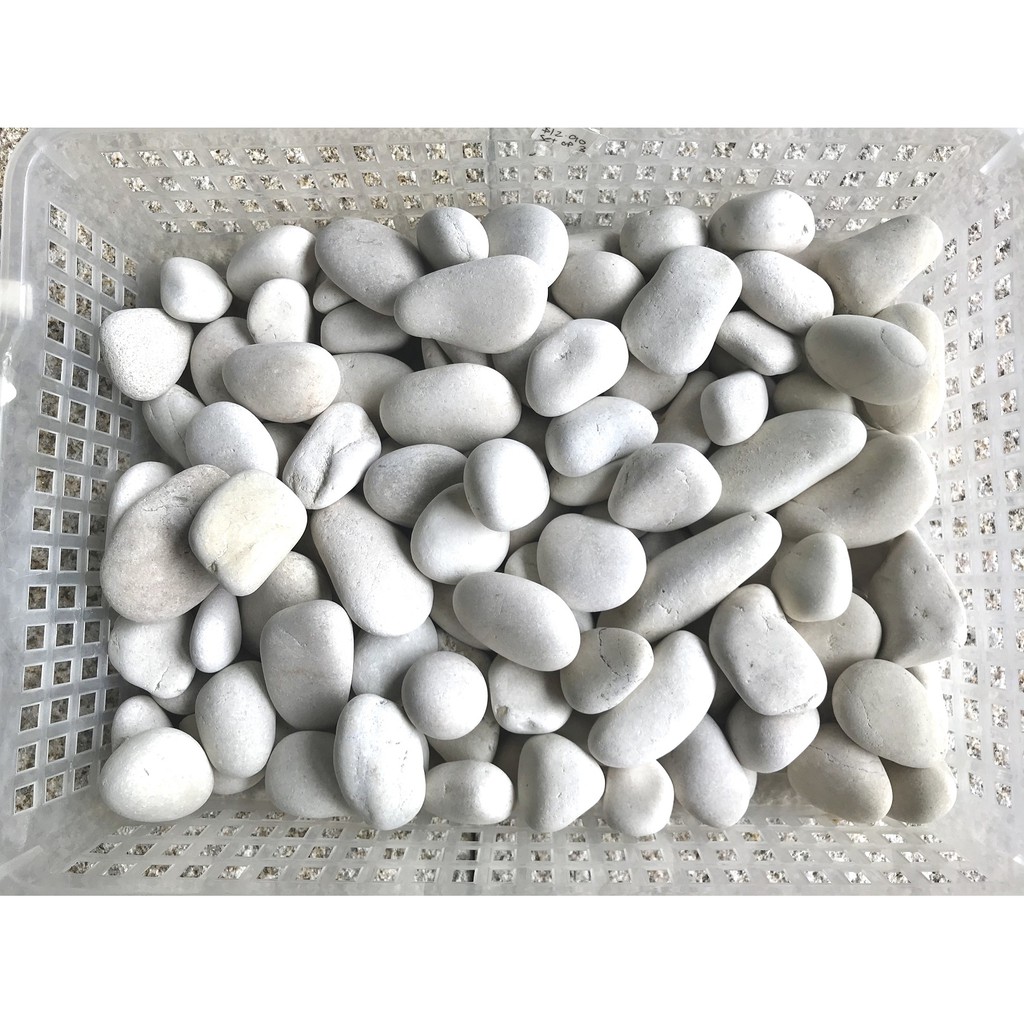 pebble 2 white