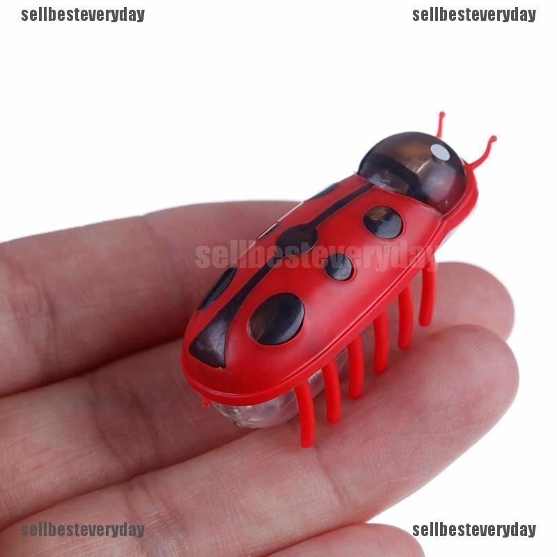 robot bug cat toy