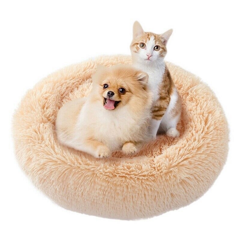 absolut dog bed