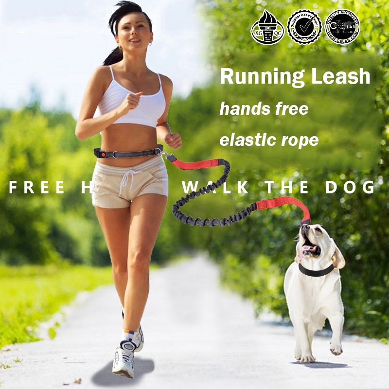 waist lead for dog