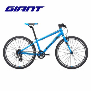 giant 24 inch mountain bike