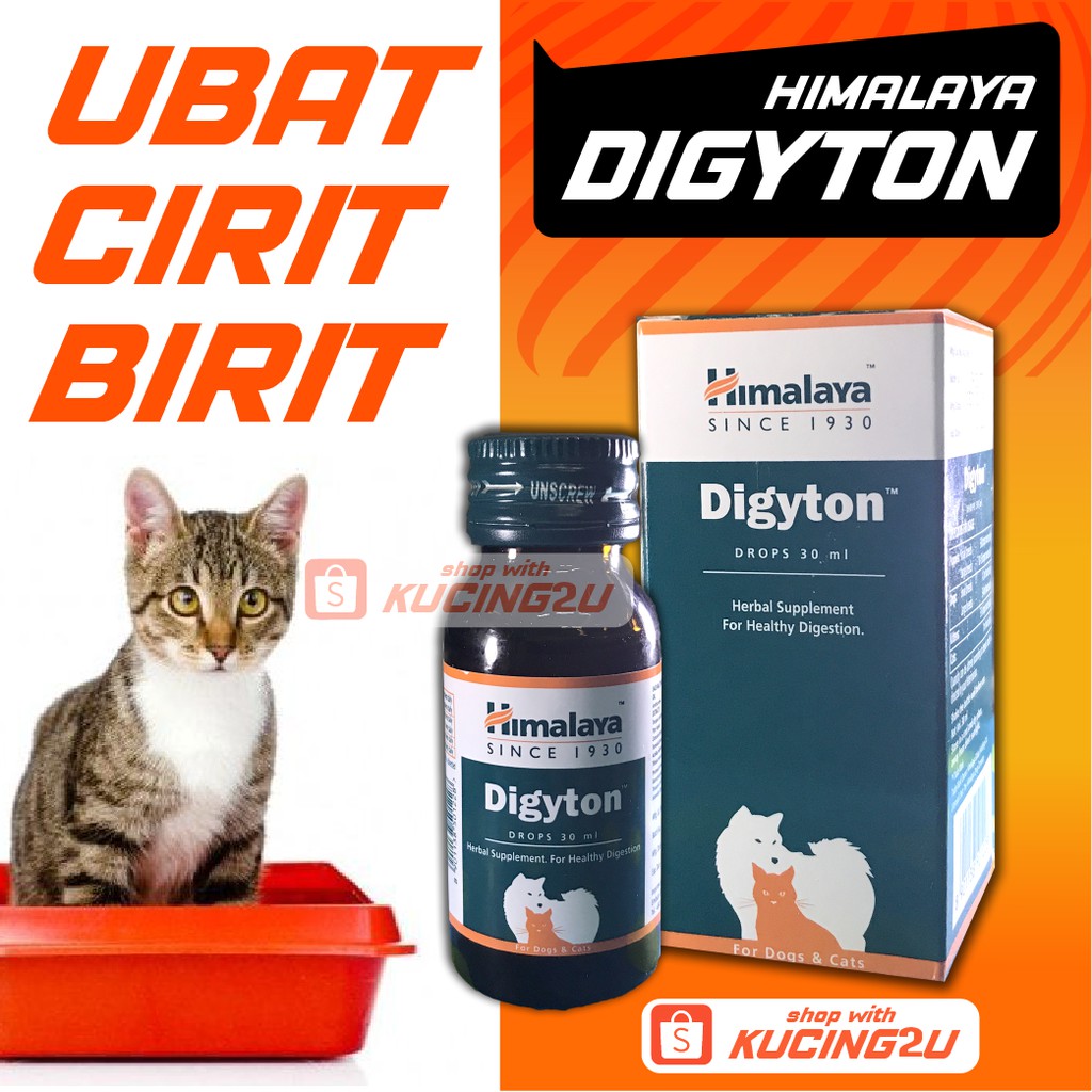 kucing2u.sg, Online Shop Shopee Singapore  ubat cirit birit kucing