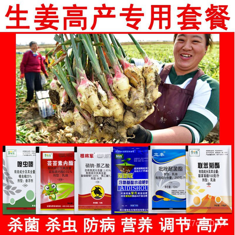 Ginger Special Pesticide Insecticide Sterilization and Yield Increasing