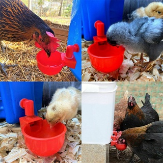 Automatic Pet Feeder Chicken Quail Poultry Bird Pheasant Feed WaterTool 300ml XR 