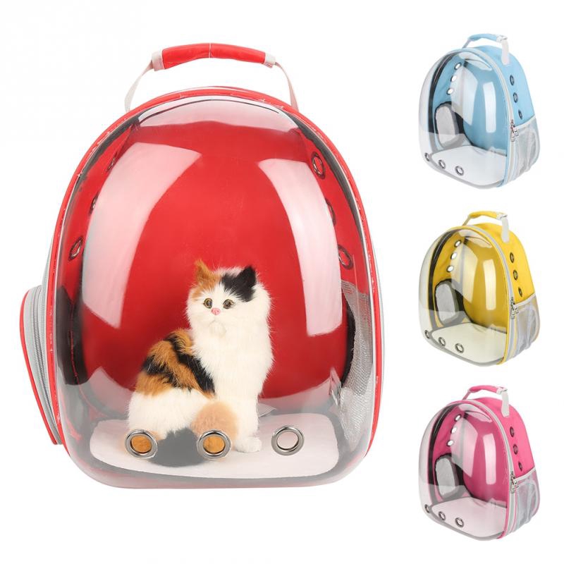 cat glass backpack