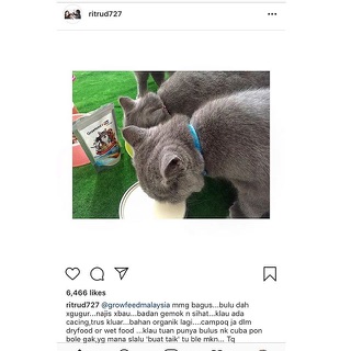 CAT LOVERS "Must Have"🌹GROWFEED E-TOX [Hilangkan Bau Najis 