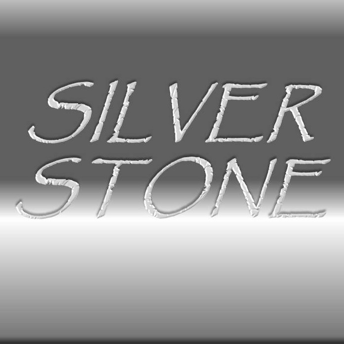 Silver Stone store logo