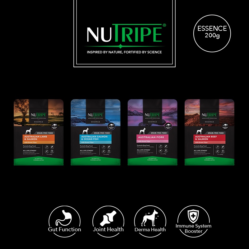 Nutripe Essence Dog Dry Food / Kibbles, 200g Sample Pack Shopee
