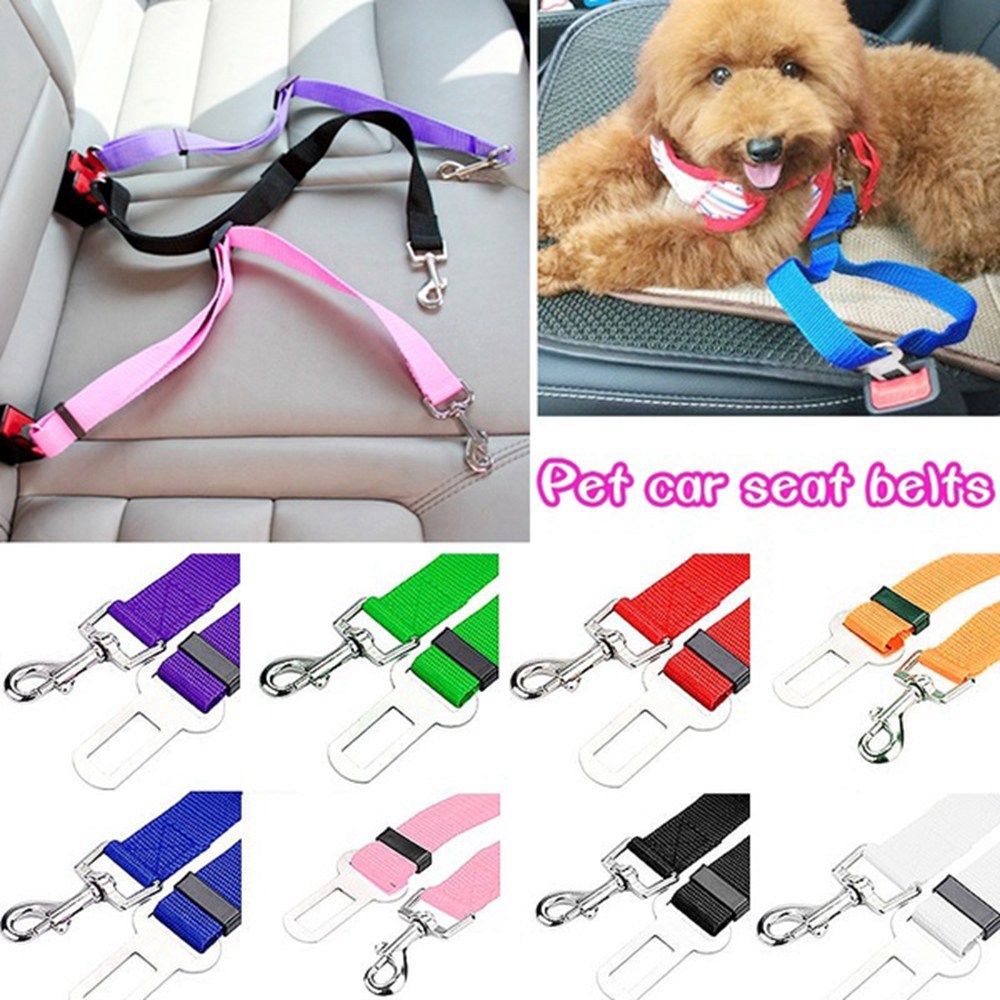 car seat belt for dogs