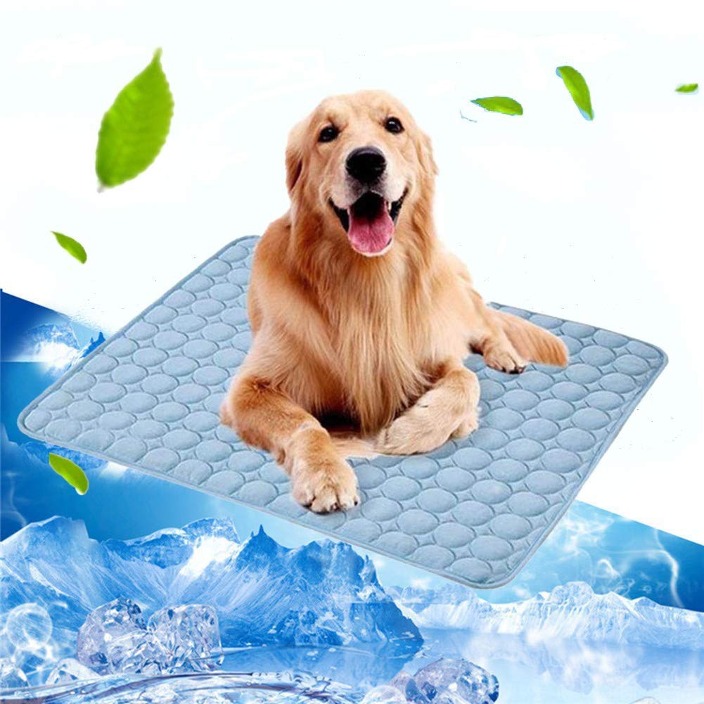 ice pad for dogs