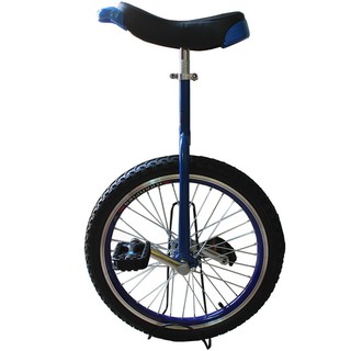 1 wheel bicycle