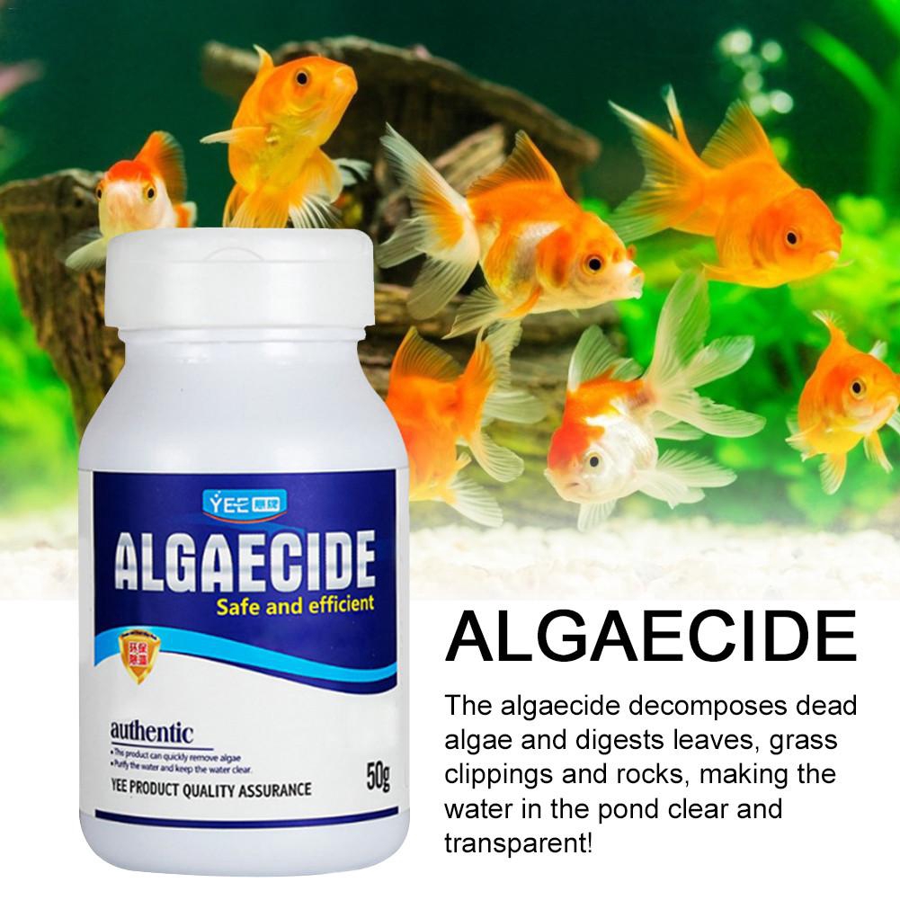 Only Algaecide Algae Moss Reduce Control Water Purification Safe Efficient Algaecide For Aquarium Pond Shopee Singapore