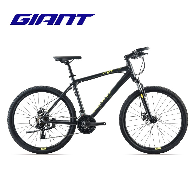 giant mountain bike grey