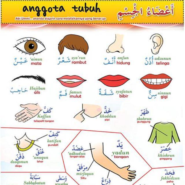 Educational Poster Learning Muslim Child Islamic Sunnah Indonesian Arabic Name Counting Worship Shopee Singapore