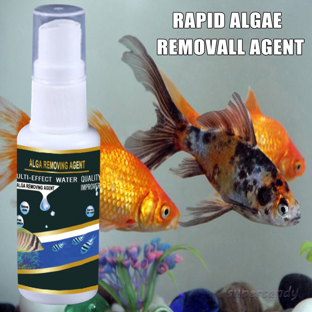 Swimming Pool Spa Tub Algaecide Phosphate Remover Aquatic Algae Control  Purifier 30ml | Shopee Singapore