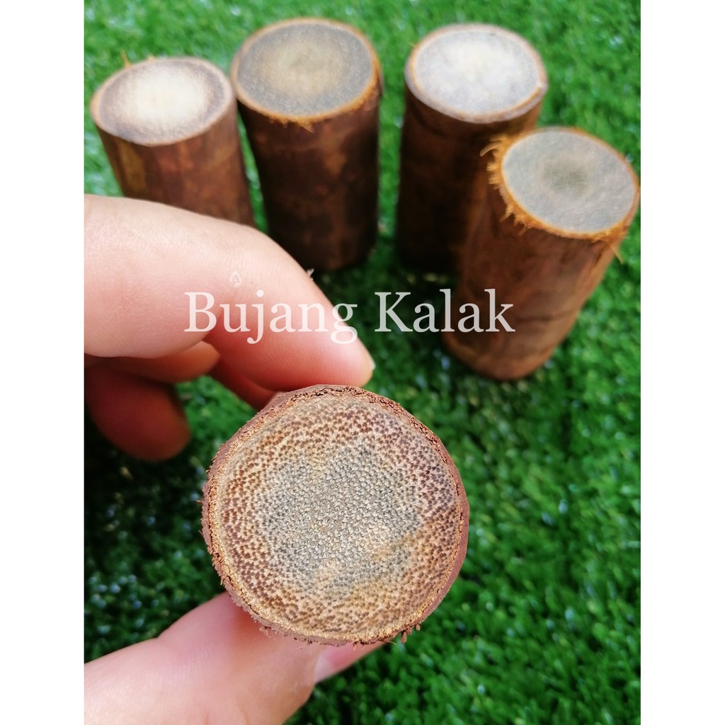 Bujang Kalak Wife Wood Shopee Singapore