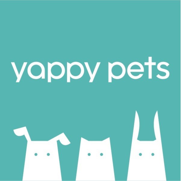 Yappy. Yappy соцсеть. Картинка приложения Yappy. Yappy приложение Газпром Медиа. Yappy онлайн.