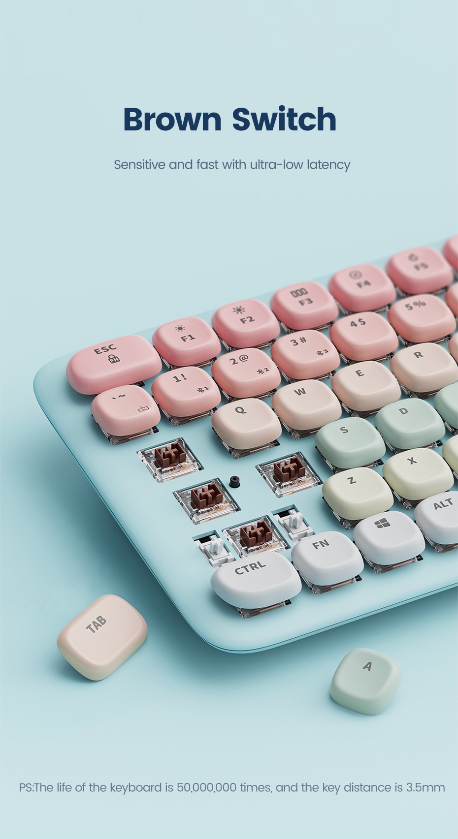 (FREE MOUSE)UGREEN Mechanical Bluetooth Keyboard Brown Switch