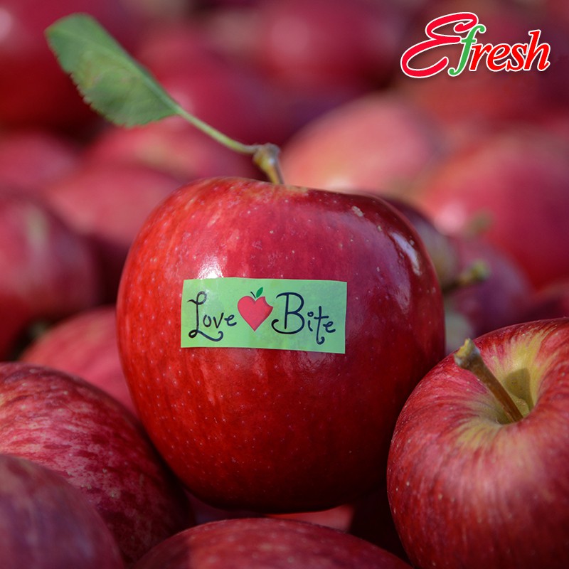 8 Things I Learned About New Zealand Apple Production And You Should Too Growing Produce