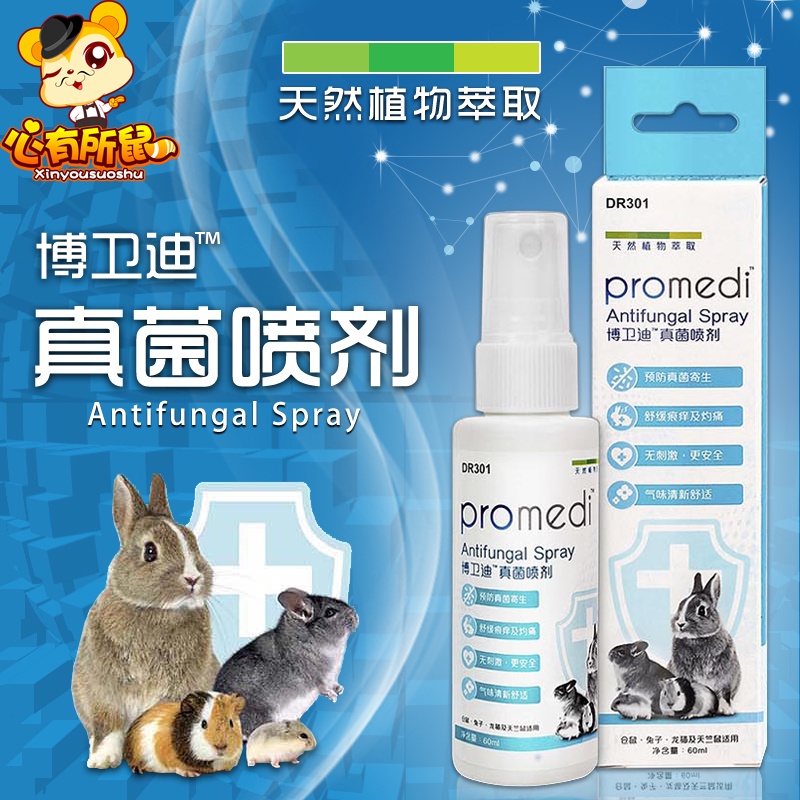 Dr. Rabbit Fungus Eliminate Guinea Pig Hamster My Neighbor Totoro Fur