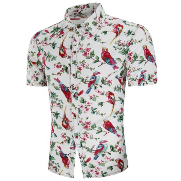 mens short sleeve summer shirts