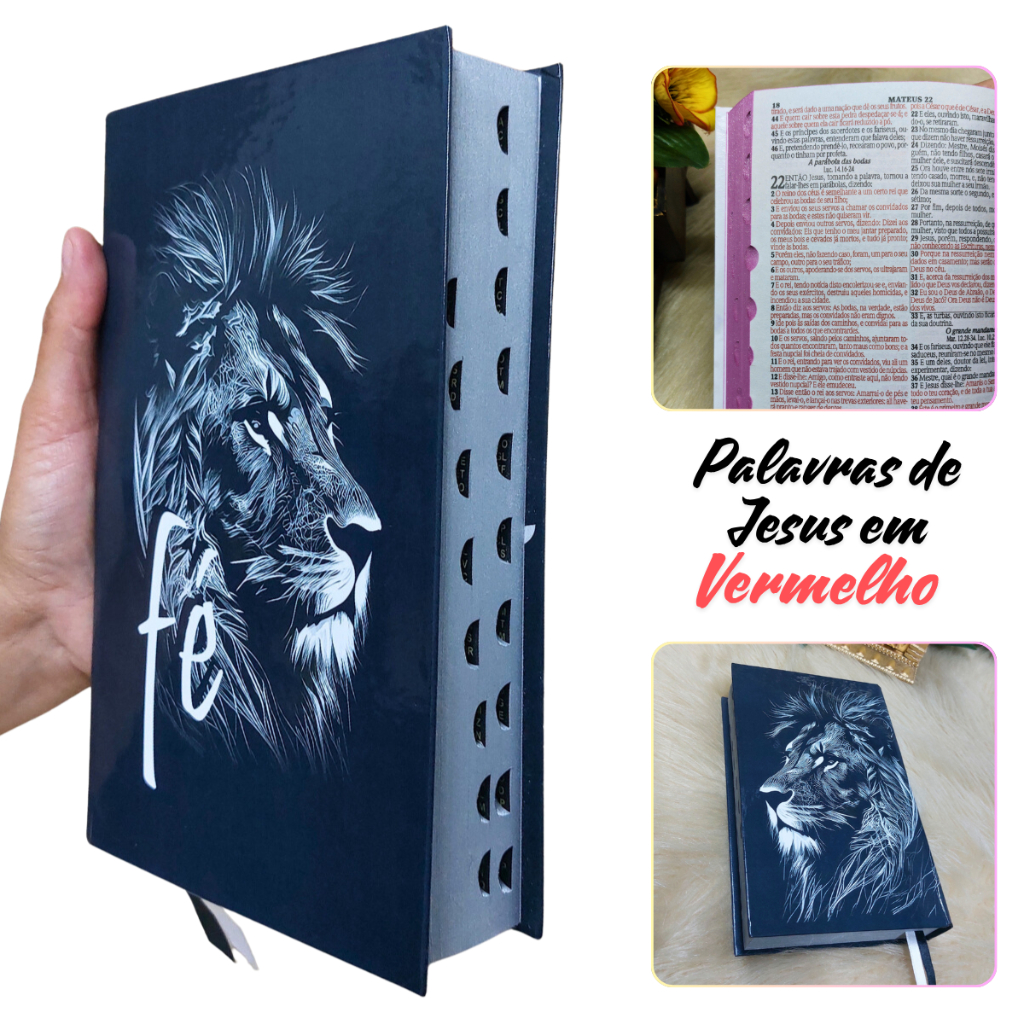 Biblia Sagrada Letra Média Jovem Harpa Cristã João Ferreira Almeida Masculina Palavras destacada