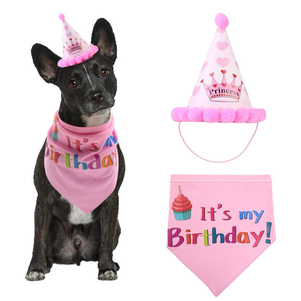 dog birthday scarf