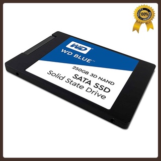 Western Digital Blue 3D NAND SSD  500GB 250GB 1TB SATA III Internal Solid State Drives WD 2.5 Inch