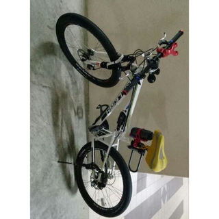 raleigh spirit mountain bike