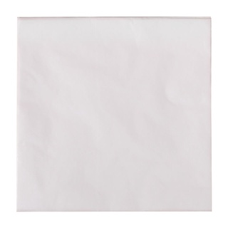 200x Disposable Oil-Proof Paper Square Oil Paper Hamburger 22x22cm Coffee 