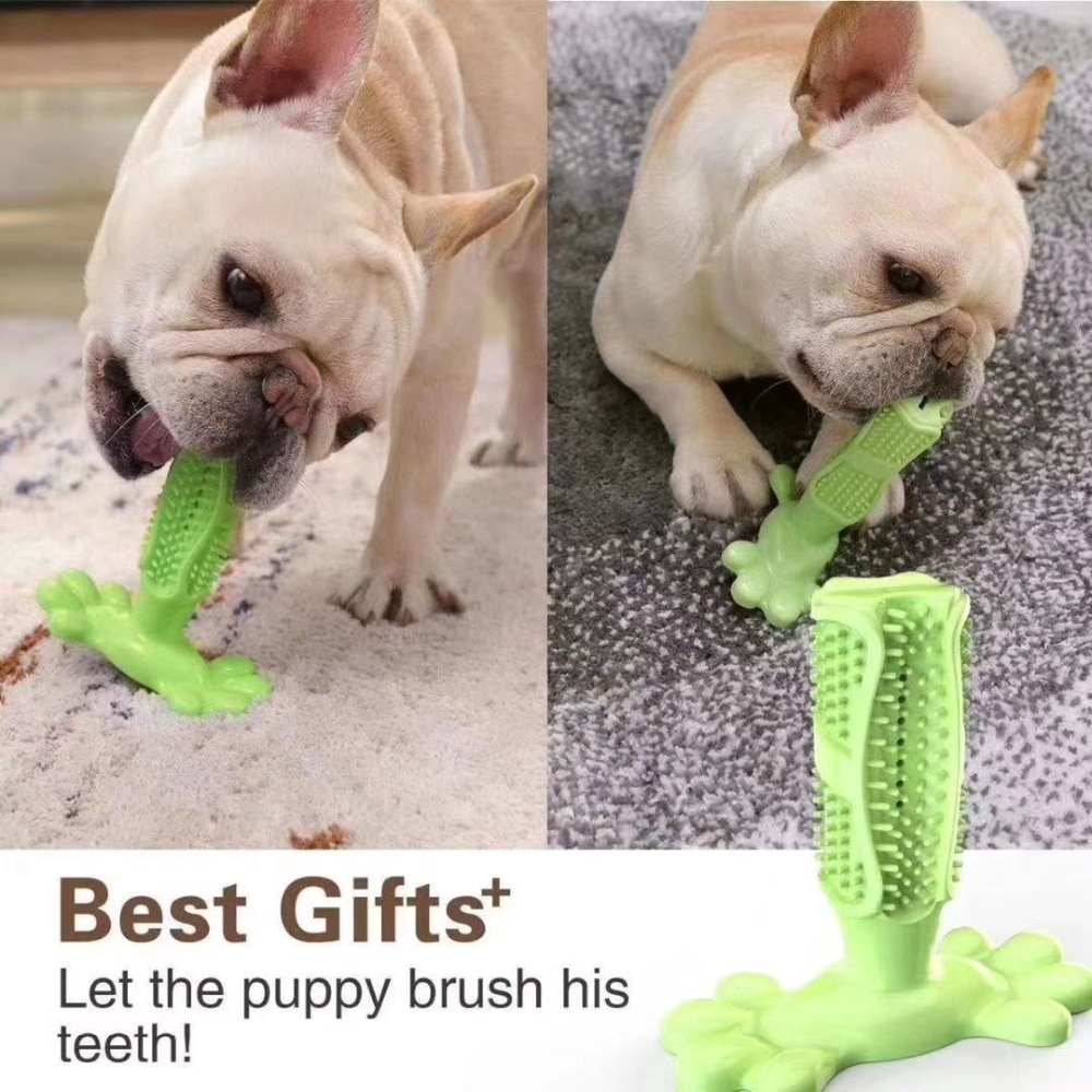 small dog toothbrush and toothpaste