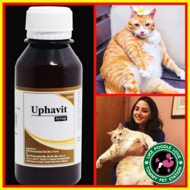 [Shop Malaysia] Uphavit Syrup Fever Cat Dog Vitamins Eating Cat Fat Cat  120ml