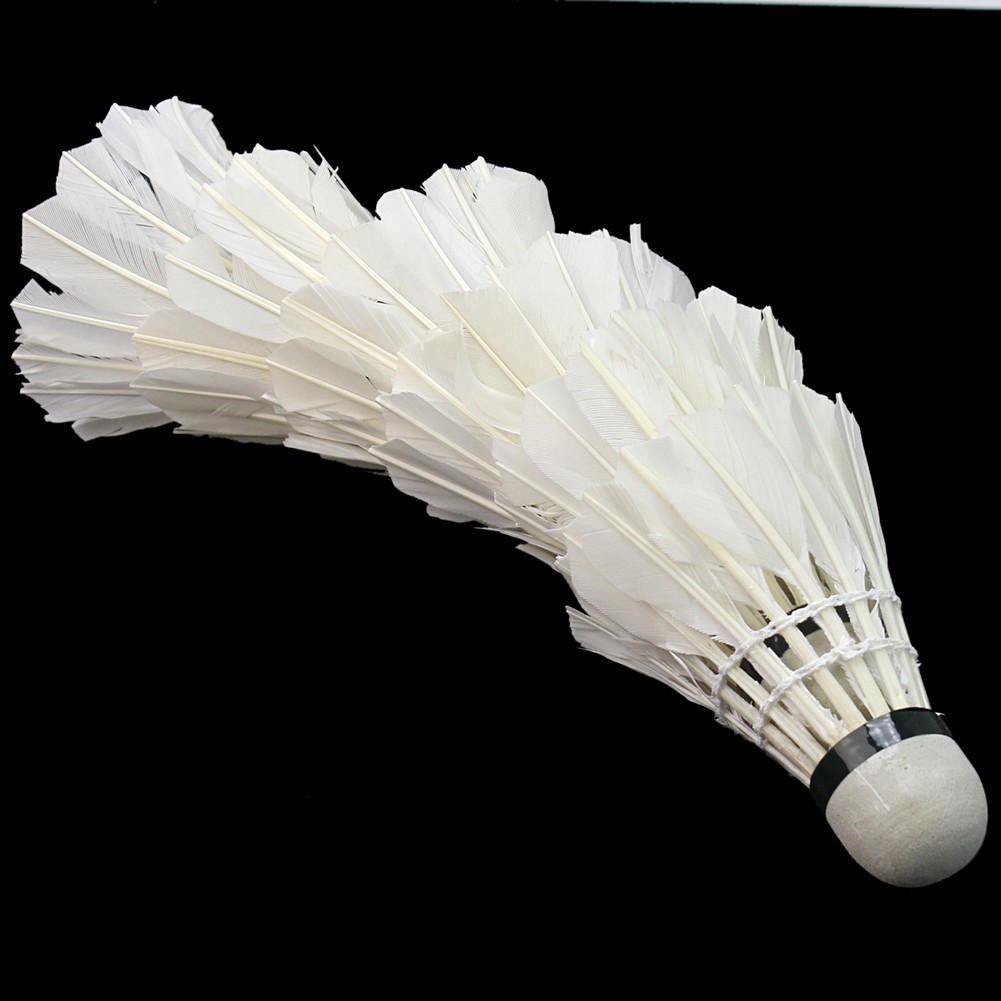 6pcs White Goose Feather Badminton Shuttlecocks Outdoor Ball Game Training New Shopee Singapore
