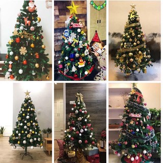 Where To Buy Christmas Tree | Xmas Tree In Singapore