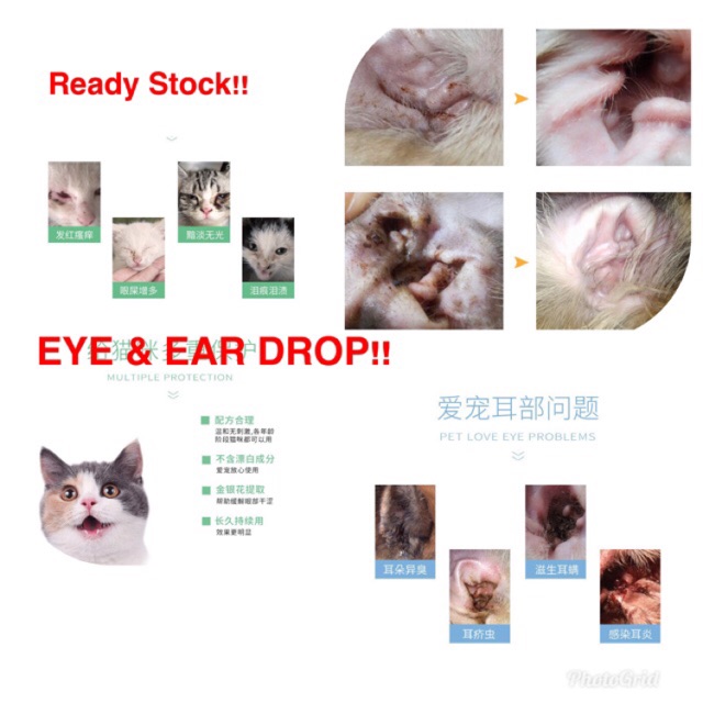 [Shop Malaysia] EAR DROP u0026 EYE DROP FOR CAT UBAT TITIS TELINGA u0026 MATA  KUCING 60ML / 10ML / COMBO SET