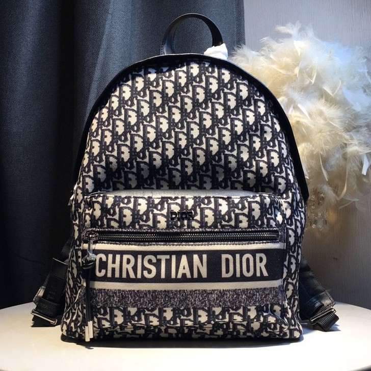 dior backpack
