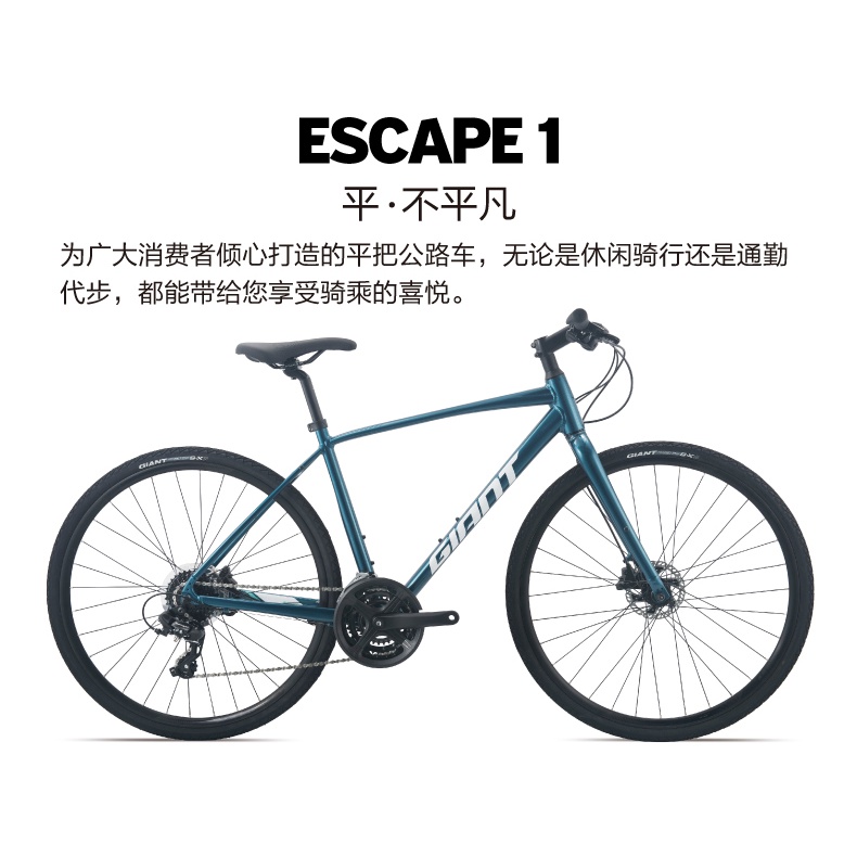 2022 giant escape 2