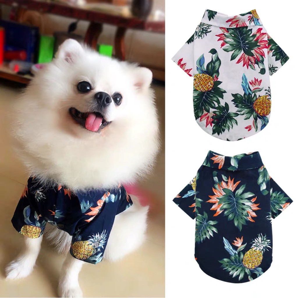 Hawaiian Shirt Price And Deals Jan 2022 Shopee Singapore