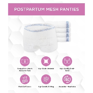 Postpartum Mesh Panties (5pcs) Reusable, Washable, Attach Maternity Pads, Aids Birth Recovery