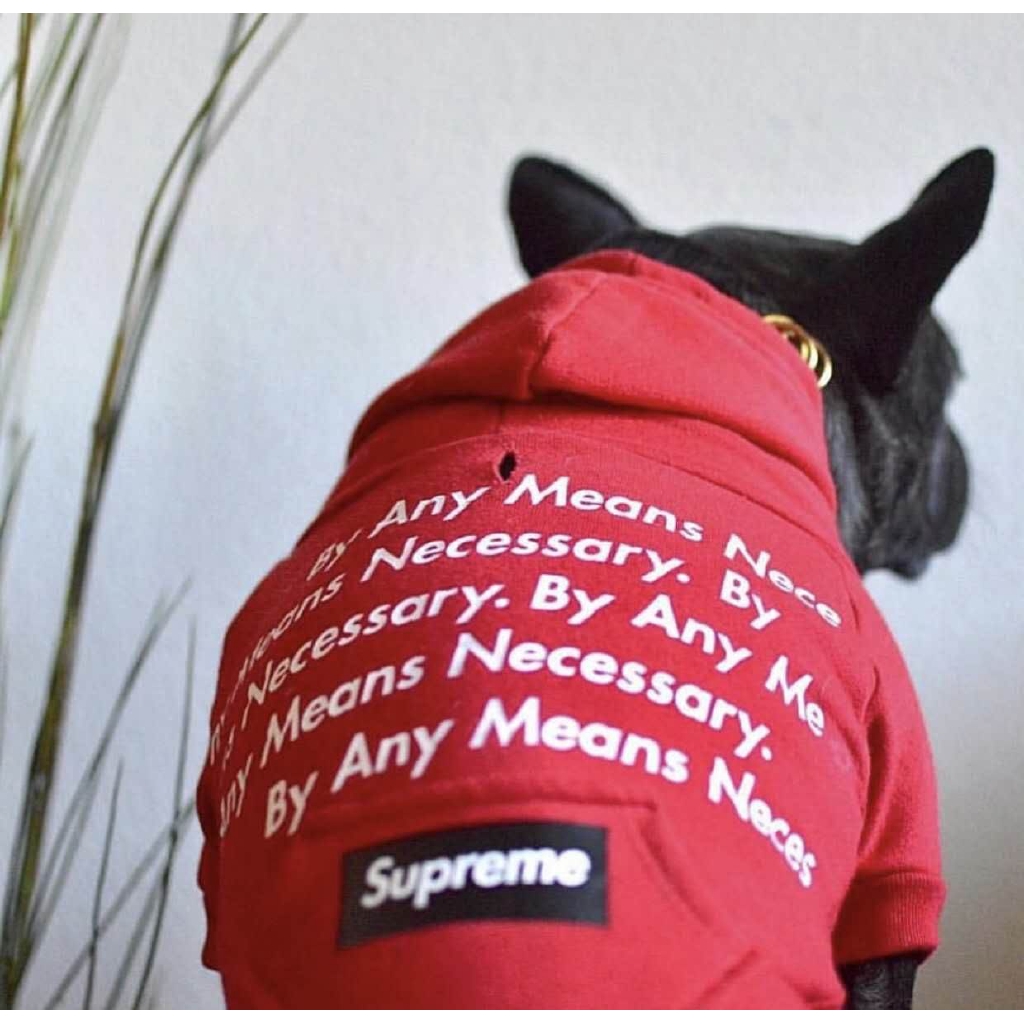 puppy supreme hoodie