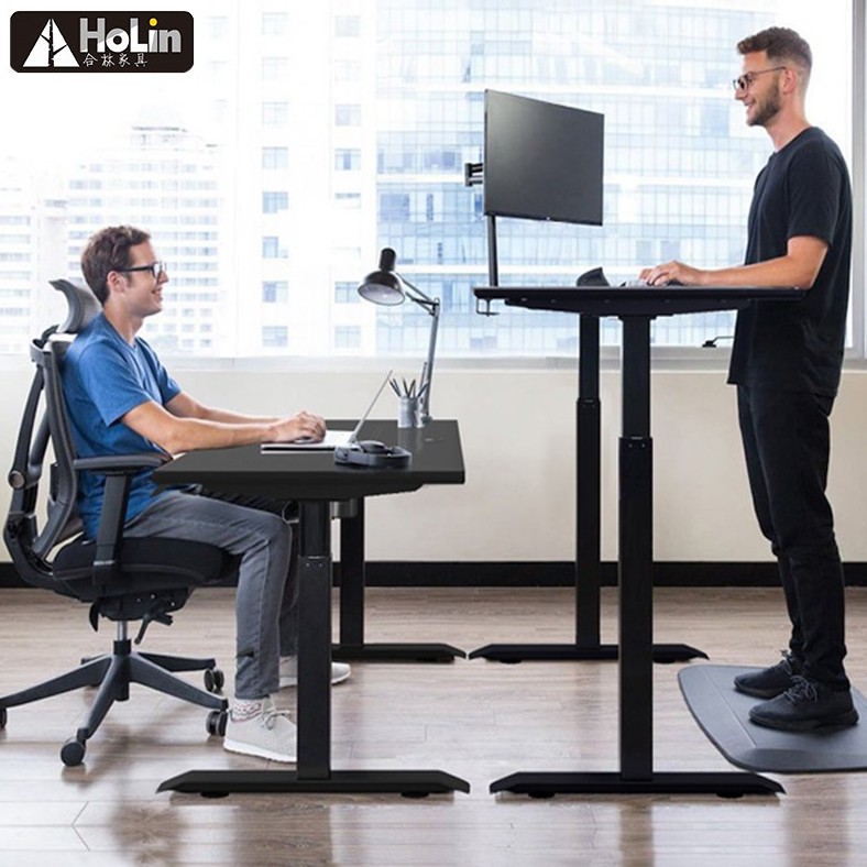 Hollin Adjustable Height Standing Table Sit To Stand Up Desk