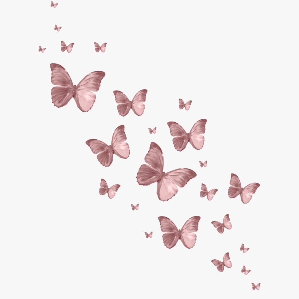 Розовые бабочки Эстетика