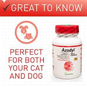 Azodyl Vetoquinol Renal (Kidney) Health Supplement for cats and 