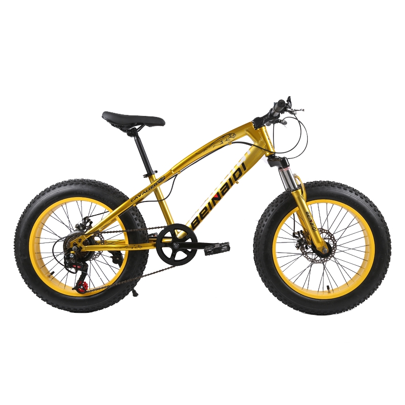 20 inch beach cruiser bicycles