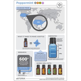 ALL NEW ! peppermint 薄荷精油 Essential Oil 15ml ~~ for refreshing in the hotday & afternoon~ #2