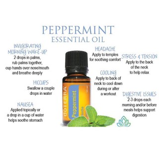 ALL NEW ! peppermint 薄荷精油 Essential Oil 15ml ~~ for refreshing in the hotday & afternoon~ #0