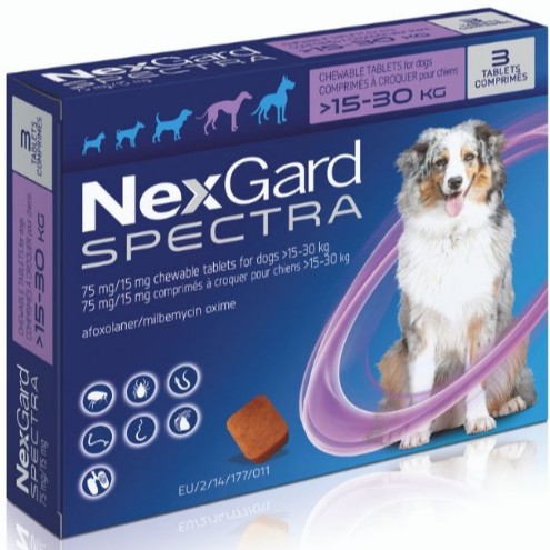 buy nexgard spectra